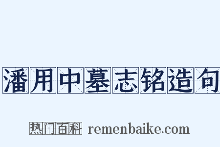 潘用中墓志铭造句是什么意思的图片